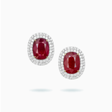 18K White & Rose Gold Ruby & Diamond Earrings