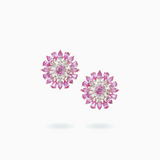 18K White & Rose Gold Sapphire & Diamond Earrings